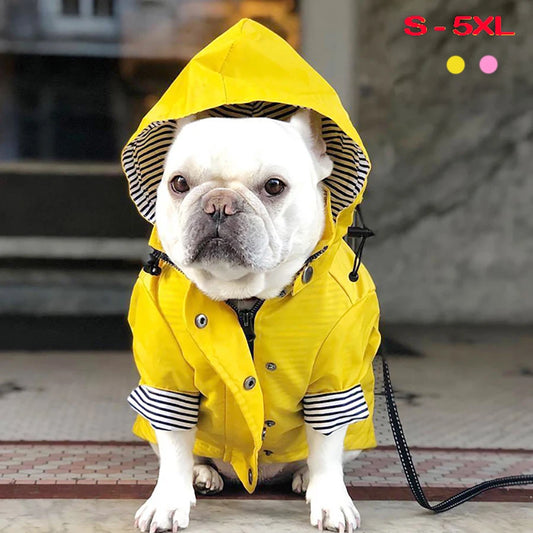 Waterproof Jacket for Pet