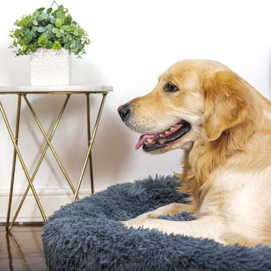Comfortable Sleeping Plush Bed For Dogs