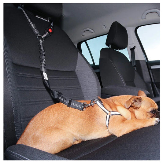 Solid Anti-shock Two-in-one Dog Harness